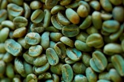 Naturex gets Canadian NPN number for green coffee bean extract benefits